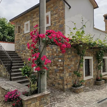 Kmetija Jogan, Wines & * Pobegi